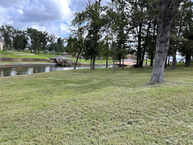 21253 Jamison Dr, Chandler, TX 75758