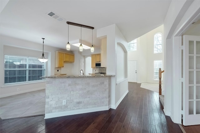 kitchen with light stone counters, kitchen peninsula, dark wood-type flooring, and light brown cabinets