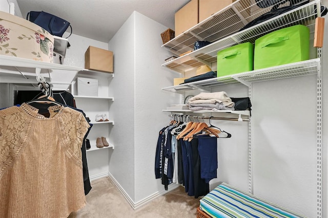 spacious closet featuring light colored carpet