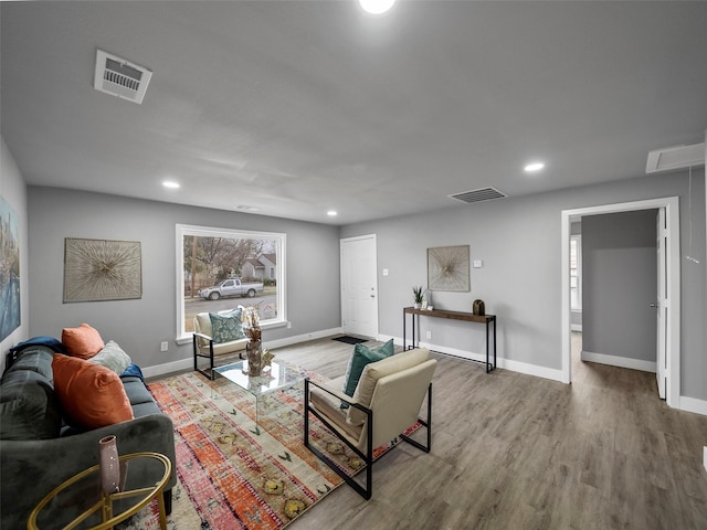 living room featuring wood-type flooring