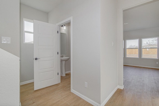 hallway featuring a wealth of natural light, light wood finished floors, baseboards, and a sink
