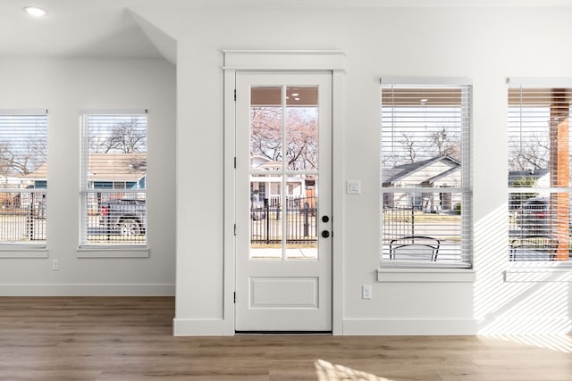 entryway featuring hardwood / wood-style floors and a healthy amount of sunlight