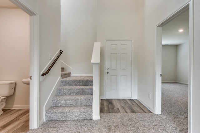 stairway featuring carpet