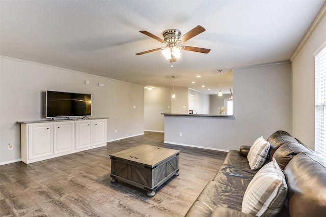 living room with crown molding, hardwood / wood-style flooring, a textured ceiling, and ceiling fan