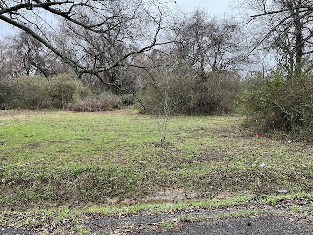 1024 NE 3rd St, Paris TX, 75460 land for sale