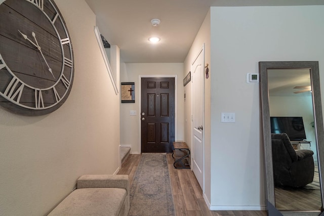 entrance foyer featuring hardwood / wood-style flooring