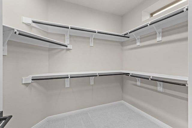 spacious closet featuring carpet floors