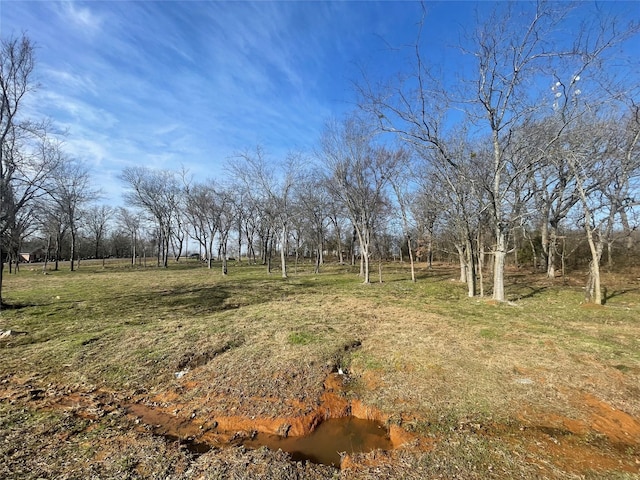 Listing photo 2 for TBD Nelson Dr, Sulphur Springs TX 75482