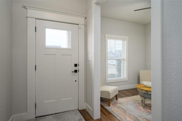 foyer with dark wood-type flooring