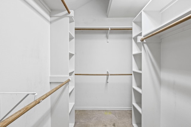 spacious closet with light colored carpet