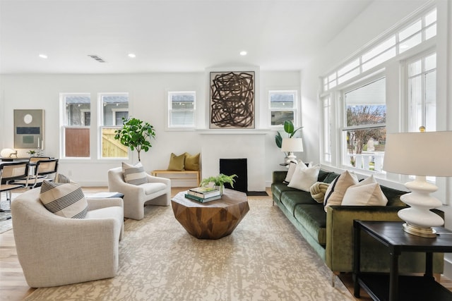 living room featuring light hardwood / wood-style flooring