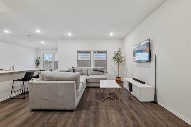 living room with sink and dark hardwood / wood-style floors