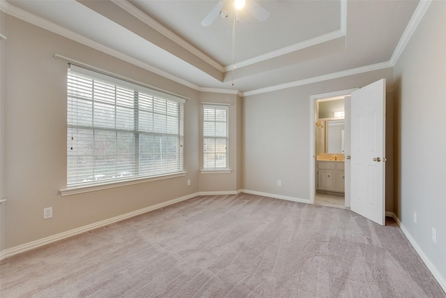 carpeted empty room featuring crown molding, ceiling fan, and a tray ceiling