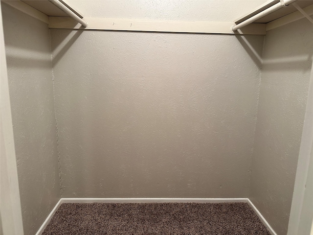 spacious closet with carpet flooring