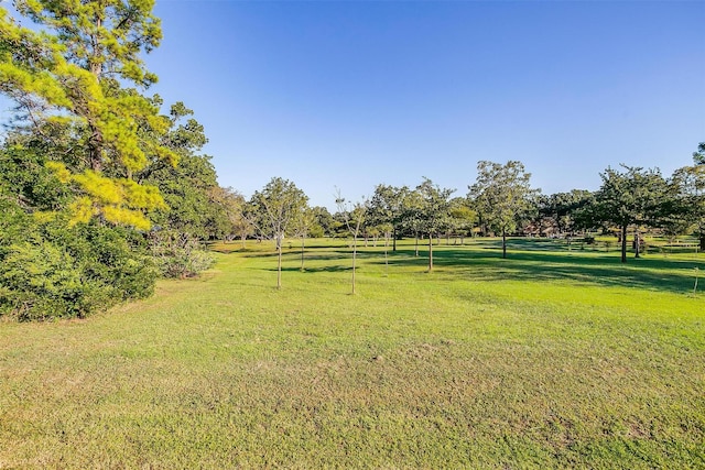 view of yard with a rural view