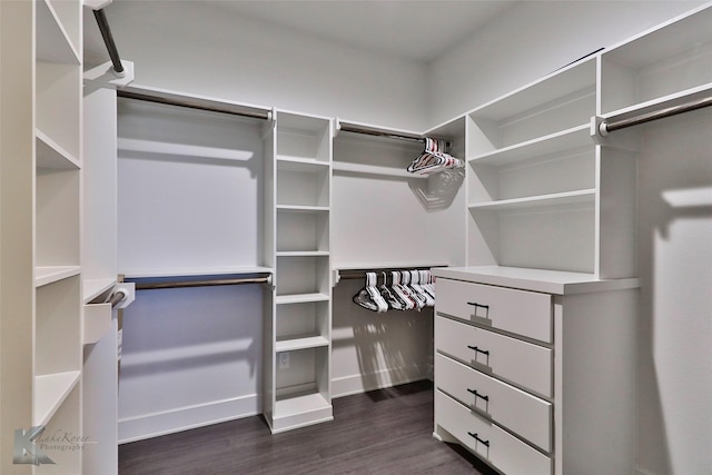 spacious closet with dark hardwood / wood-style floors