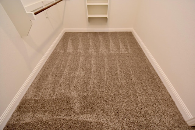 spacious closet featuring carpet