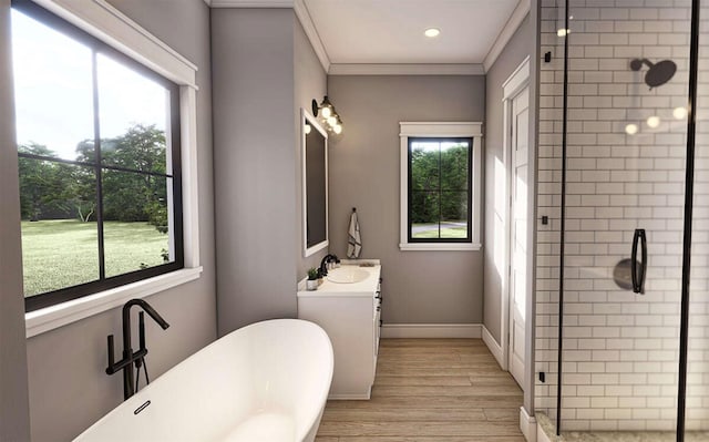 bathroom featuring vanity, a wealth of natural light, ornamental molding, and plus walk in shower