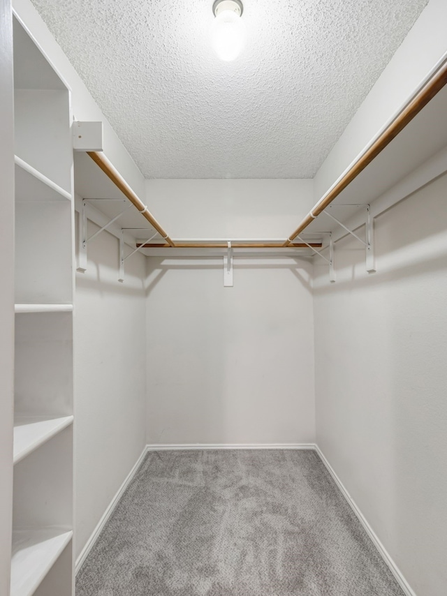 spacious closet featuring light colored carpet