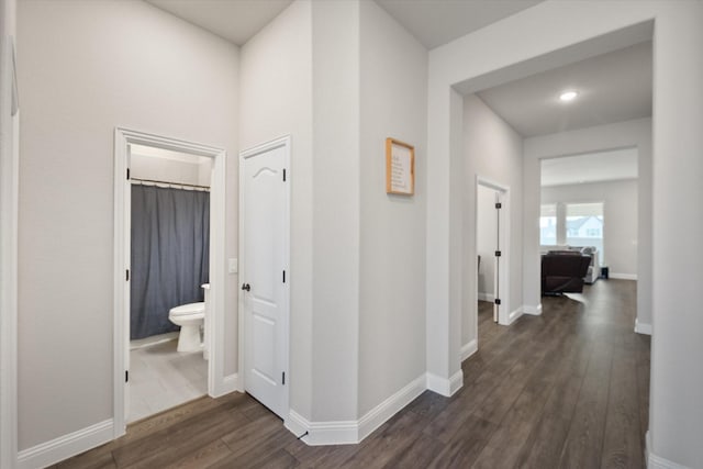 hallway with dark wood-type flooring