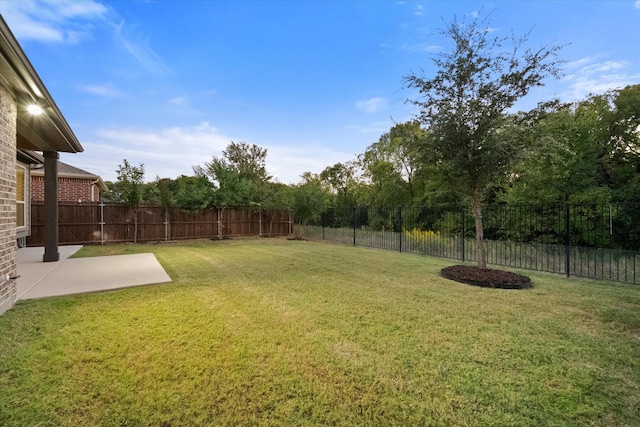 view of yard featuring a patio