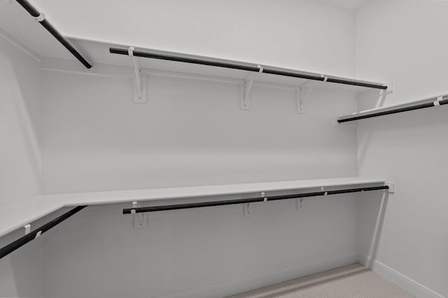 602 Lundy Ln, Mansfield, TX 76063 - spacious closet with light colored carpet