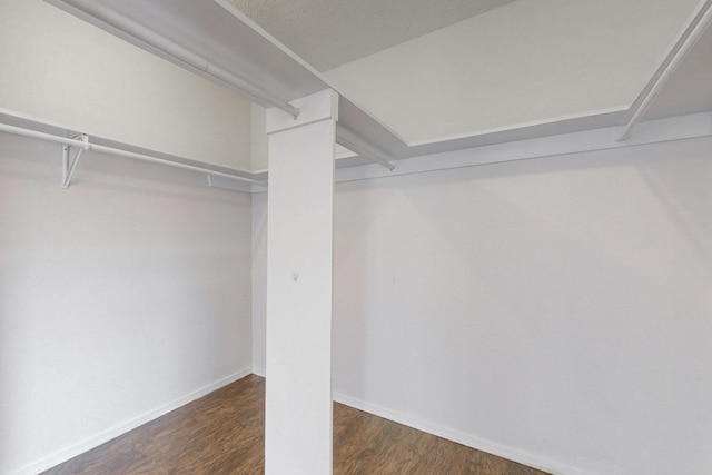 spacious closet with dark wood finished floors