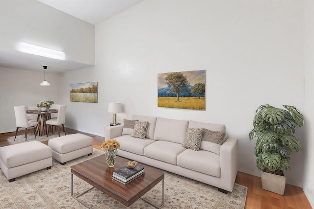 living room with light wood-type flooring