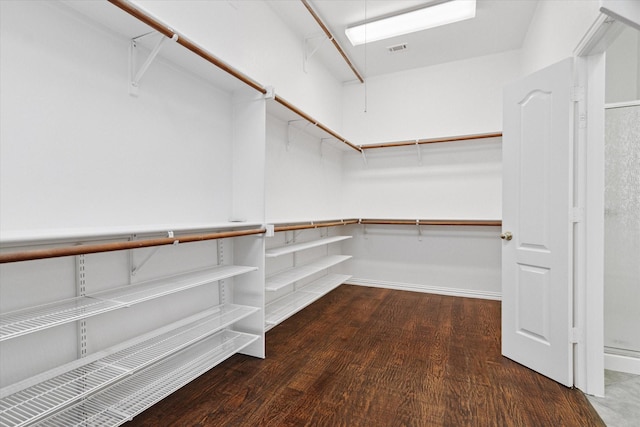 spacious closet featuring dark wood-type flooring