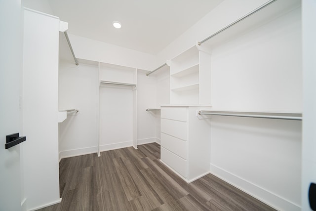 spacious closet featuring dark hardwood / wood-style flooring