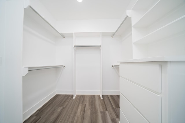 spacious closet featuring dark hardwood / wood-style flooring