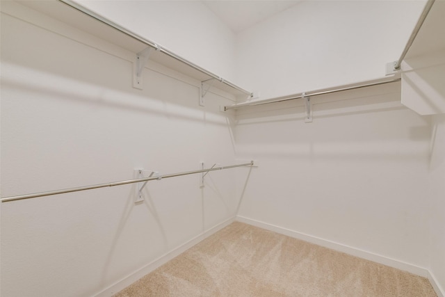 walk in closet with light carpet