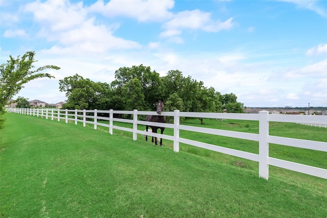 view of yard with a rural view