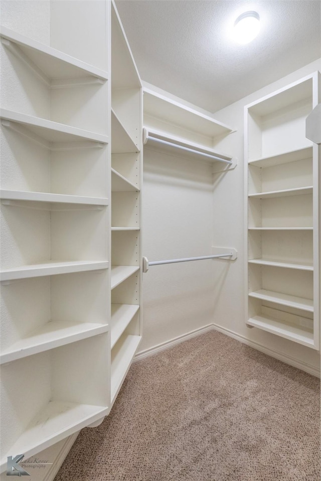 spacious closet with carpet floors