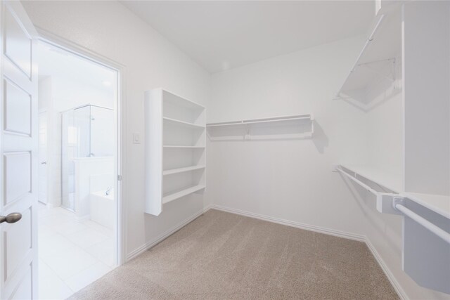 spacious closet featuring light colored carpet