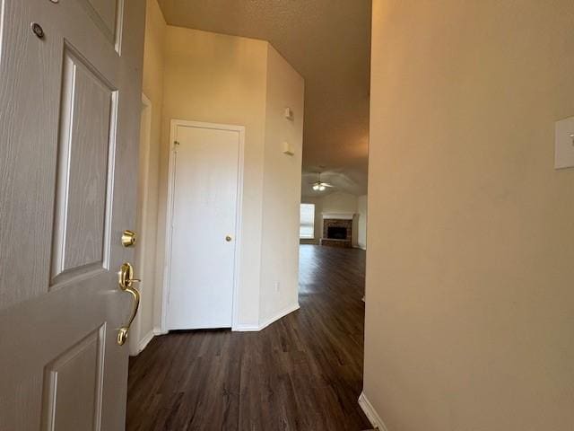 hall featuring dark hardwood / wood-style floors