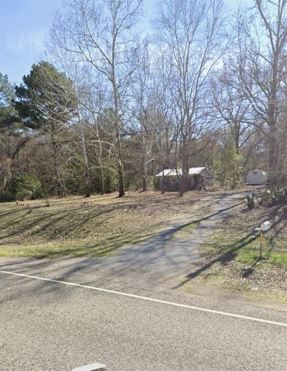 15672 Fm 3204, Brownsboro, TX 75756 - view of road