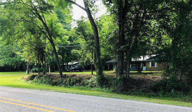 15672 Fm 3204, Brownsboro, TX 75756 - view of asphalt street