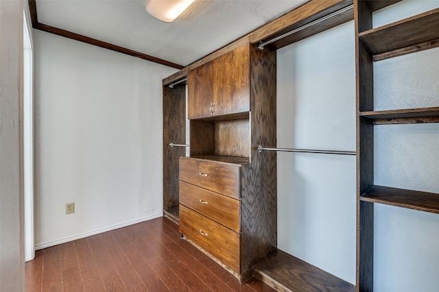 spacious closet featuring dark hardwood / wood-style flooring