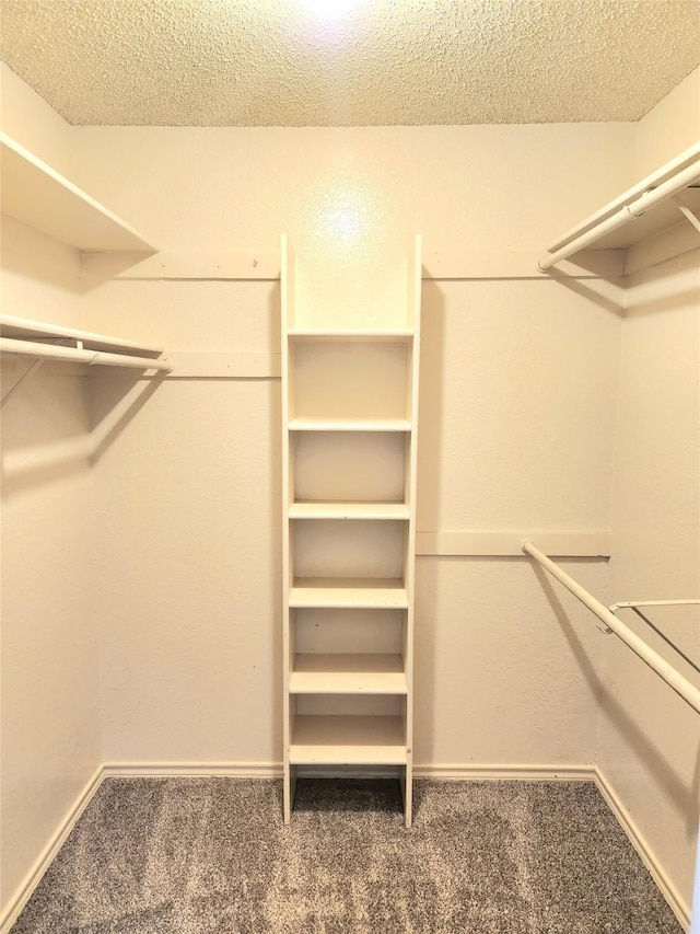 walk in closet featuring carpet floors