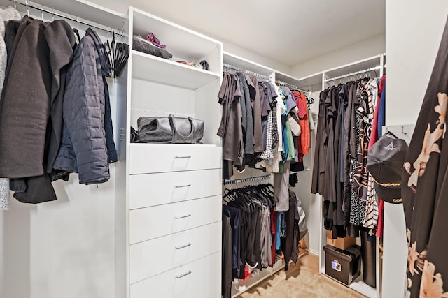 2312 Bantry Ln, Arlington, TX 76002 - walk in closet with light carpet