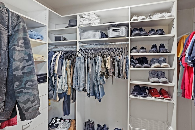 2312 Bantry Ln, Arlington, TX 76002 - view of walk in closet