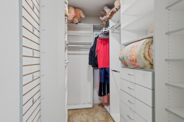 2312 Bantry Ln, Arlington, TX 76002 - view of walk in closet