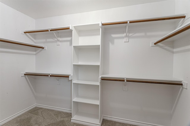 spacious closet featuring carpet