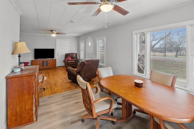 dining space featuring ceiling fan and light wood-type flooring