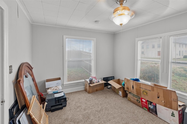 recreation room featuring crown molding, carpet floors, and a wealth of natural light