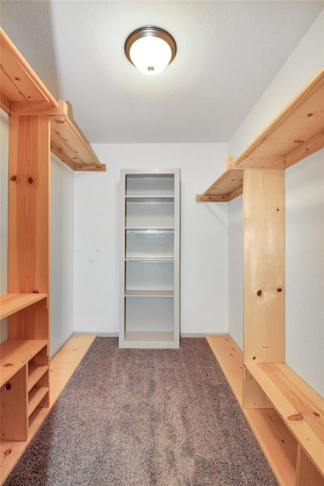 walk in closet featuring carpet flooring