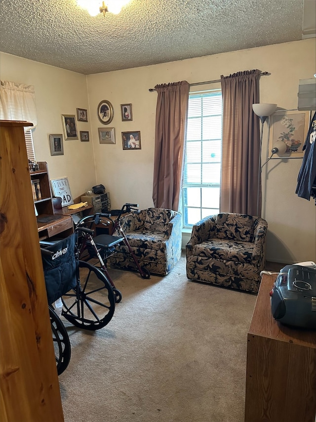 miscellaneous room with a textured ceiling and carpet flooring