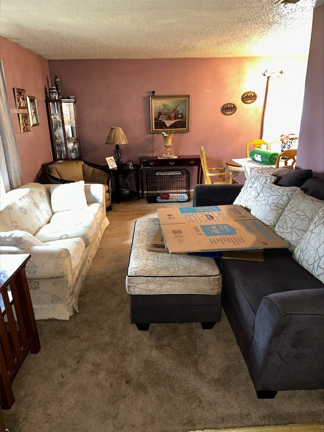 carpeted living room featuring a textured ceiling