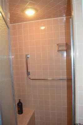 bathroom featuring a shower with door